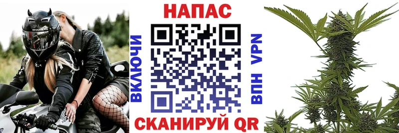 МАРИХУАНА марихуана  Дно 